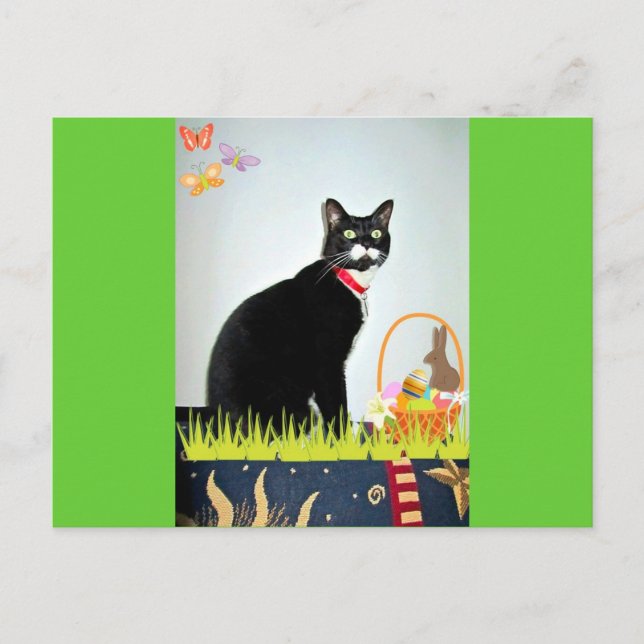 Cartes Pour Fêtes Annuelles Pâques Lucy (Devant)