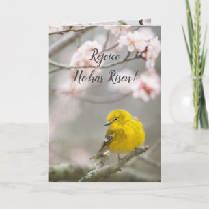 Cartes Pour Fêtes Annuelles Pâques Réjouissez-vous Il est ressuscité Oiseau de