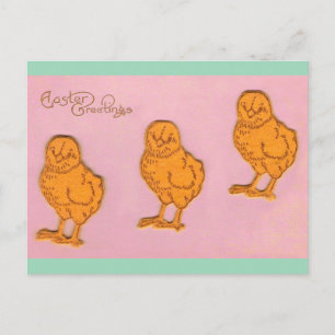 Cartes Pour Fêtes Annuelles Pâques Salutations Chicks rose