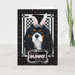 Cartes Pour Fêtes Annuelles Pâques - un certain lapin vous aime - cavalier