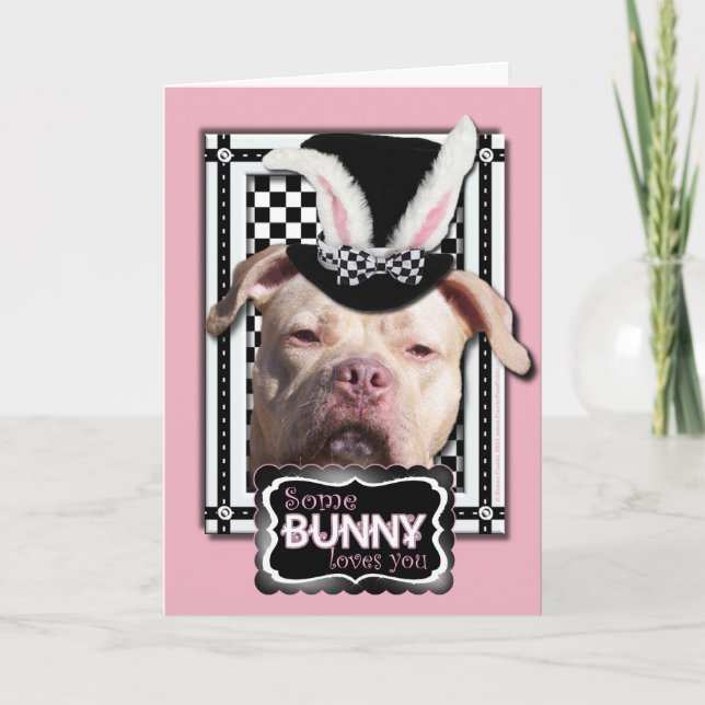 Cartes Pour Fêtes Annuelles Pâques - un certain lapin vous aime - Pitbull (Devant)