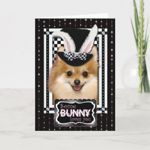 Cartes Pour Fêtes Annuelles Pâques - un certain lapin vous aime - Pomeranian
