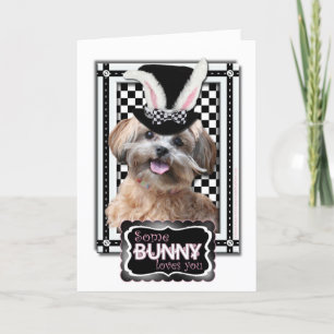 Cartes Pour Fêtes Annuelles Pâques - un certain lapin vous aime - ShihPoo