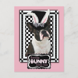 Cartes Pour Fêtes Annuelles Pâques - Un Lapin Vous Aime - Boston Terrier