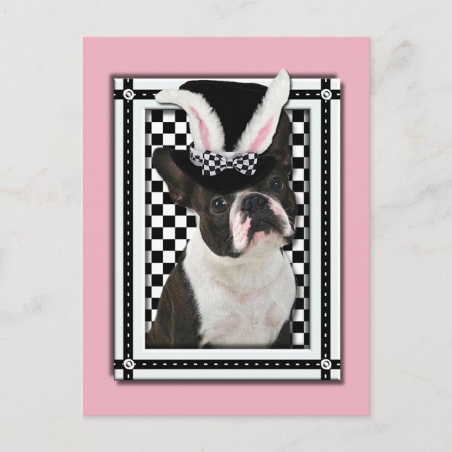 Cartes Pour Fêtes Annuelles Pâques - Un Lapin Vous Aime - Boston Terrier (Devant)