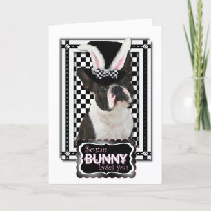 Cartes Pour Fêtes Annuelles Pâques - Un Lapin Vous Aime - Boston Terrier