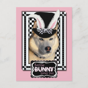 Cartes Pour Fêtes Annuelles Pâques - Un Lapin Vous Aime - Husky