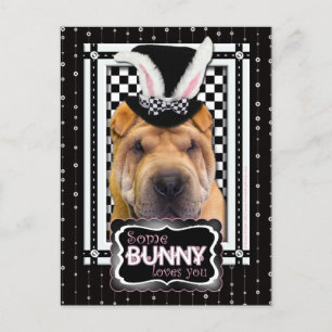 Cartes Pour Fêtes Annuelles Pâques - Un Lapin Vous Aime - Shar Pei