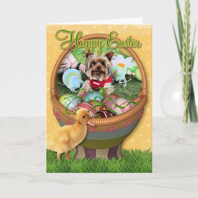 Cartes Pour Fêtes Annuelles Pâques - Yorkshire Terrier - Sassy (Devant)