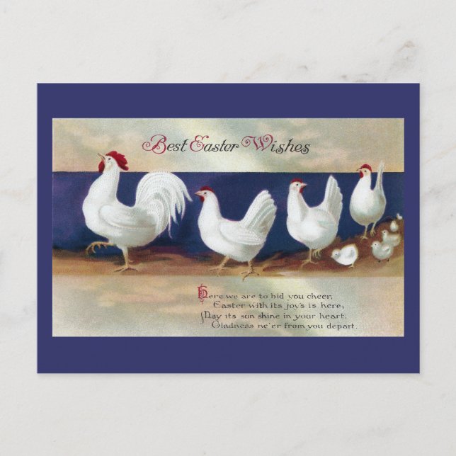 Cartes Pour Fêtes Annuelles Parade de Pâques au poulet blanc (Devant)