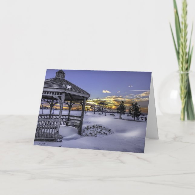 Cartes Pour Fêtes Annuelles Parc Gazebo en hiver (Devant)