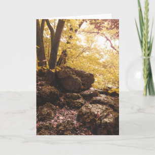 Cartes Pour Fêtes Annuelles parc national backbone iowa