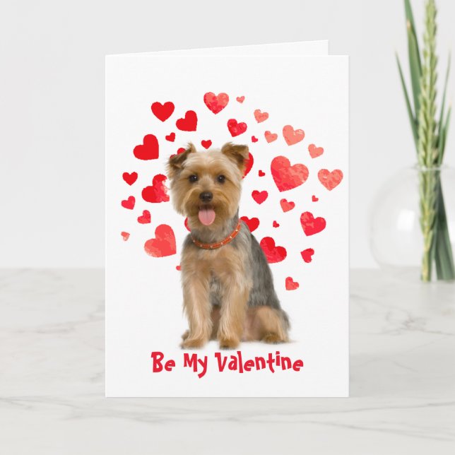 Cartes Pour Fêtes Annuelles Parce que je t'aime, Yorkie Dog Valentine (Devant)