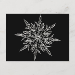 Cartes Pour Fêtes Annuelles Parfait flocon de neige pour Noël