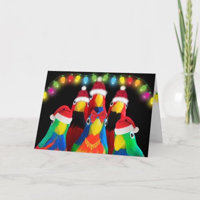 Cartes Pour Fêtes Annuelles Parrots Aimer Noël (Devant)
