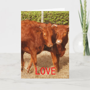 Cartes Pour Fêtes Annuelles Partage d'amour