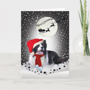 Cartes Pour Fêtes Annuelles Partage de Noël de border collie