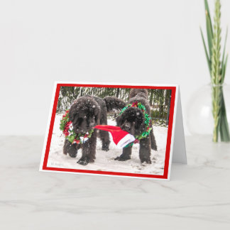 Cartes Pour Fêtes Annuelles Partageant la saison la manière de Newfie !