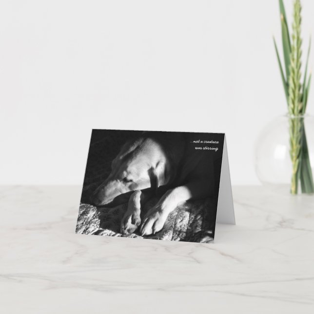 Cartes Pour Fêtes Annuelles … pas une créature remuait (Devant)