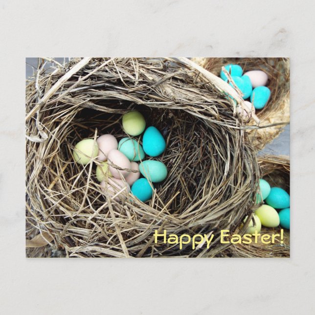 Cartes Pour Fêtes Annuelles Pastel Easter eggs in real bird's nest photograph (Devant)