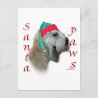 Pâtes Père Noël Terrier à revêtement souple