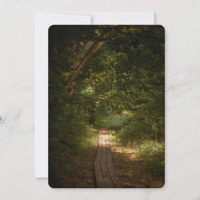 Cartes Pour Fêtes Annuelles Path through forest (Devant)