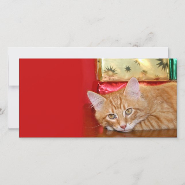 Cartes Pour Fêtes Annuelles Patience de Noël (Devant)