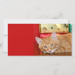 Cartes Pour Fêtes Annuelles Patience de Noël