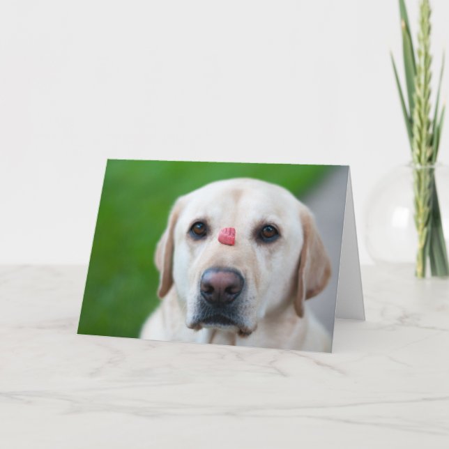 Cartes Pour Fêtes Annuelles Patience maximale (Devant)