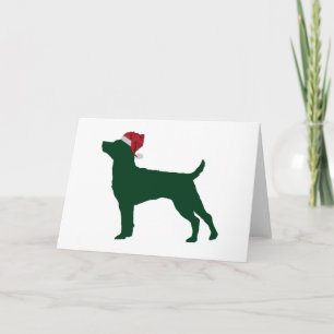 Cartes Pour Fêtes Annuelles Patterdale Terrier
