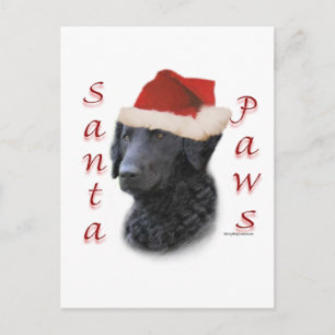 Cartes Pour Fêtes Annuelles Pattes Bouclé-Enduites de Père Noël de chien