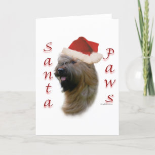 Cartes Pour Fêtes Annuelles Pattes de Briard Père Noël