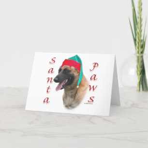 Cartes Pour Fêtes Annuelles Pattes de Malinois Père Noël de Belge