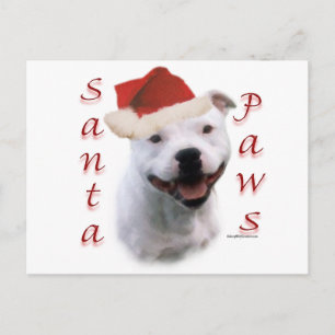 Cartes Pour Fêtes Annuelles Pattes de Père Noël de bull-terrier du