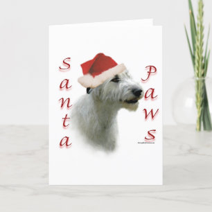 Cartes Pour Fêtes Annuelles Pattes de Père Noël de chien-loup irlandais