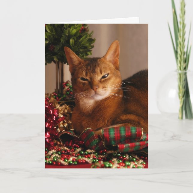 Cartes Pour Fêtes Annuelles Pattes pour les vacances (Devant)