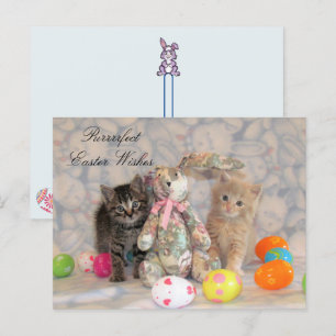 Cartes Pour Fêtes Annuelles Patton & Buffington Pâques Cat