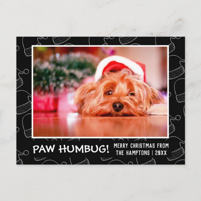 Cartes Pour Fêtes Annuelles Paw Humbug Pet Photo Animal Noir Santa Hat (Devant)