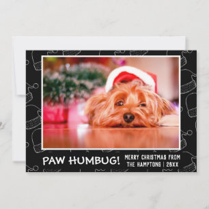 Cartes Pour Fêtes Annuelles Paw Humbug Photo pour animal noir
