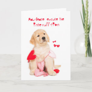 Cartes Pour Fêtes Annuelles Paw-lease