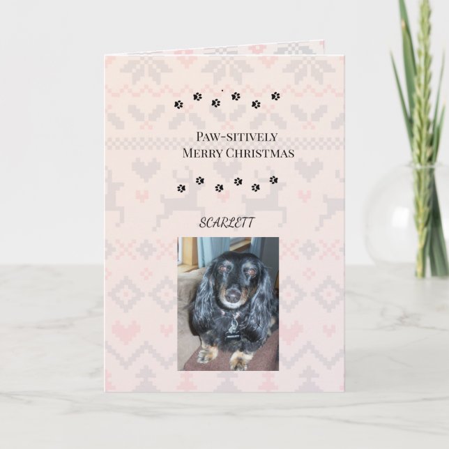 Cartes Pour Fêtes Annuelles Paw-stively Merry Christmas with Pet Photo (Devant)