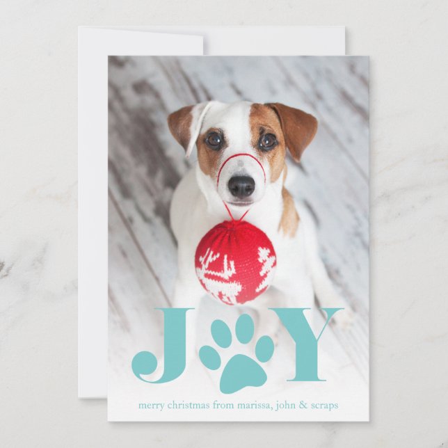 Cartes Pour Fêtes Annuelles Paws | Pet Photo Holiday Card (Devant)