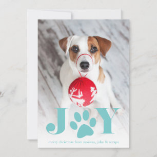 Cartes Pour Fêtes Annuelles Paws Pet Photo Holiday Card
