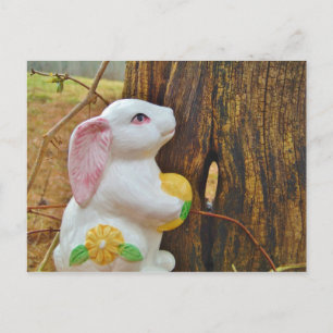Cartes Pour Fêtes Annuelles Pays Lapin de Pâques