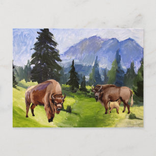 Cartes Pour Fêtes Annuelles Paysage de l'aquarelle de Bison Buffalo