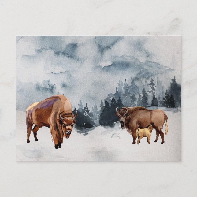 Cartes Pour Fêtes Annuelles Paysage de l'aquarelle de Bison Buffalo hiver (Devant)