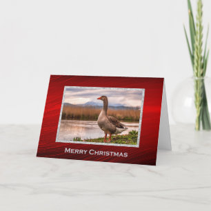 Cartes Pour Fêtes Annuelles Paysage des jolies oies Noël