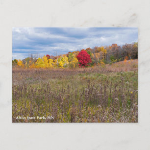 Cartes Pour Fêtes Annuelles paysage des prairies en automne au parc d'état aft