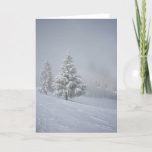 Cartes Pour Fêtes Annuelles Paysage d'hiver