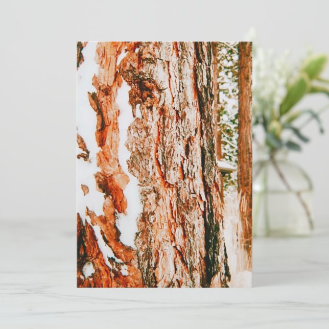 Cartes Pour Fêtes Annuelles Paysage d'hiver à Bend - Oregon  (Debout devant)